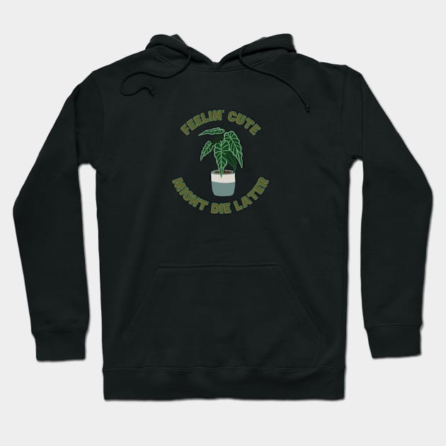 Feelin' Cute - Might Die Later Hoodie by North Eastern Roots